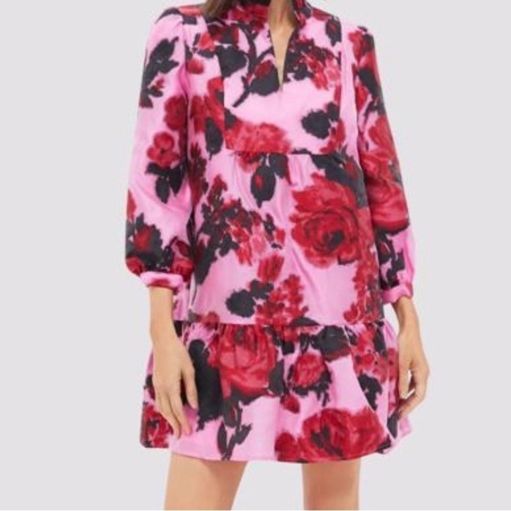 NWT TUCKERNUCK Pink Red Begonia Blossom Jacquard Palmerston Dress Small - Picture 11 of 13